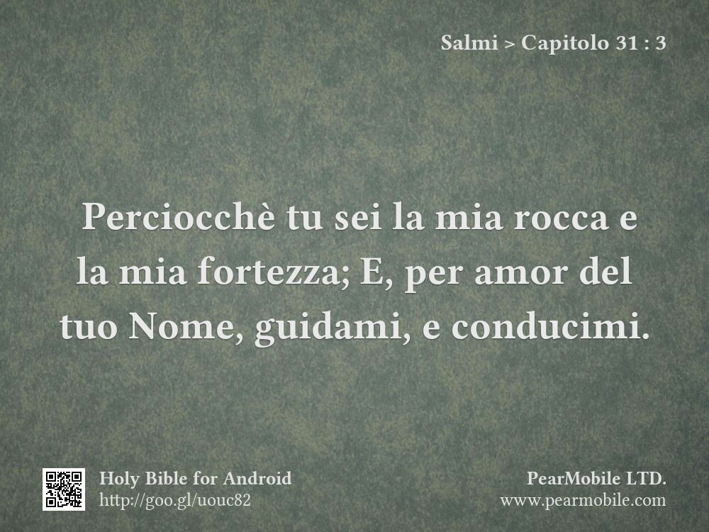 Salmi, Capitolo 31:3